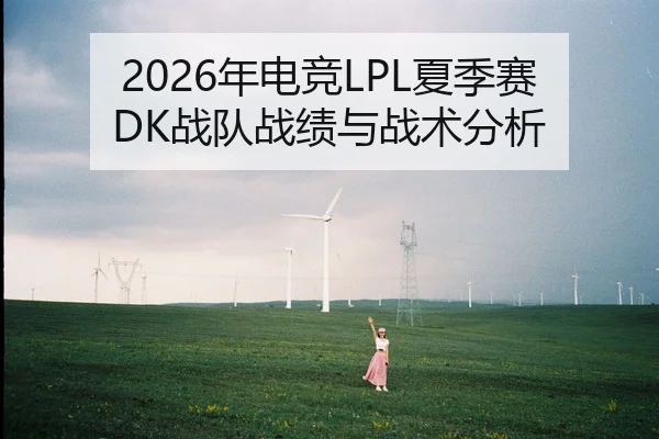 2026年电竞LPL夏季赛DK战队战绩与战术分析